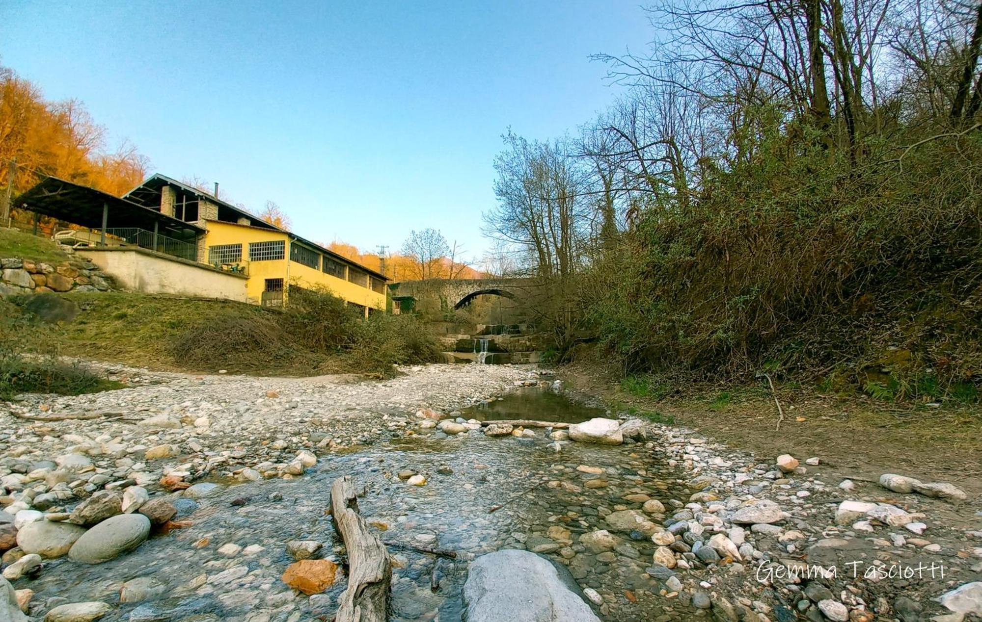 Natura Tra Bosco E Lago Castelveccana Exterior foto